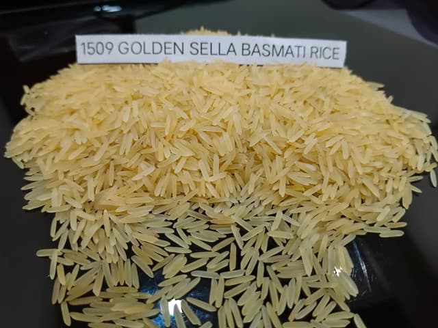 1509 Golden Sella Basmati Rice (Primary Series)