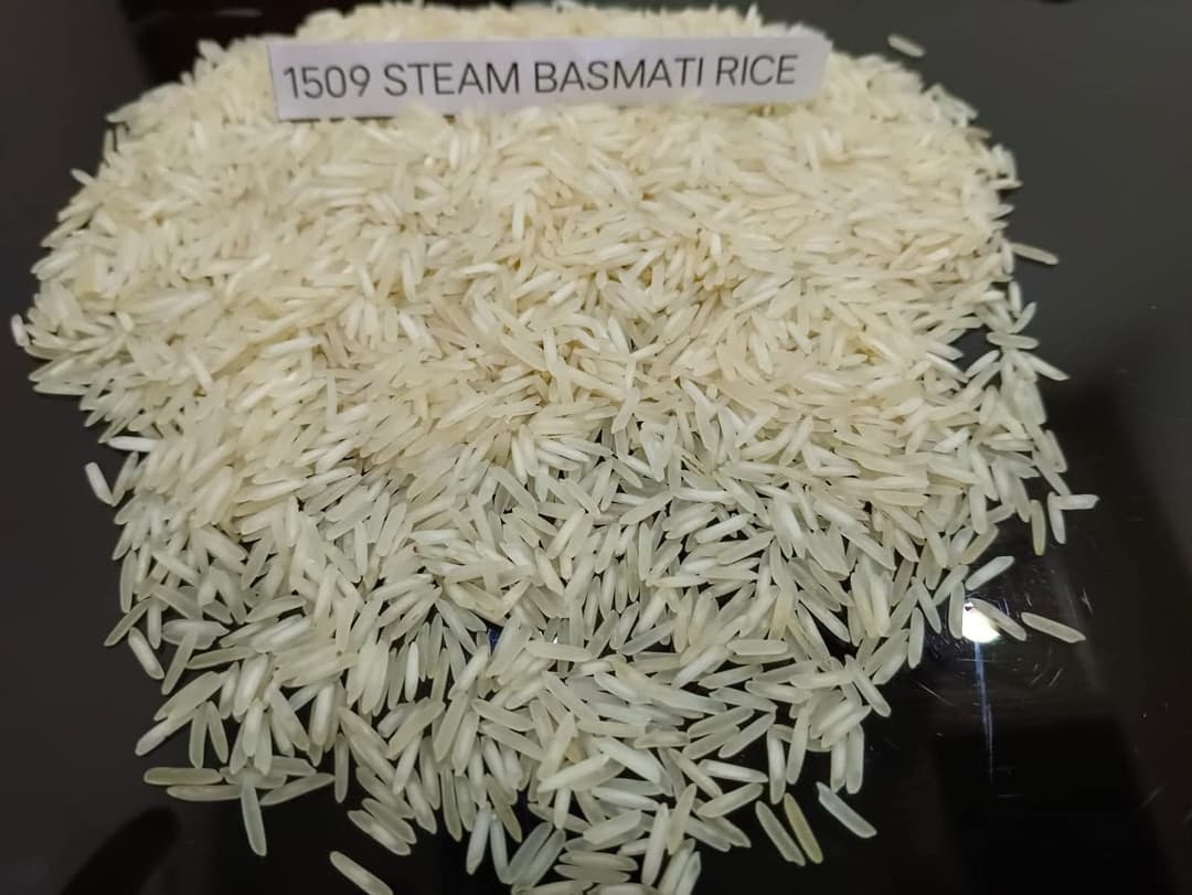 1509 Steam Basmati Rice (Extended Series)