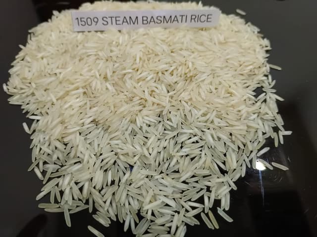 1509 Steam Basmati Rice (Primary Series)