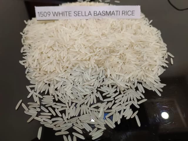 1509 White Sella Basmati Rice (Primary Series)