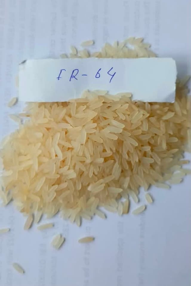 FR-64 Parboiled Rice (Primary Series)